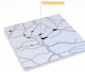 3d view of Turkmenevo
