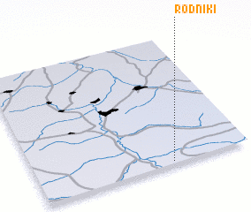 3d view of Rodniki