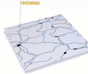 3d view of Trushniki