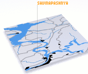 3d view of Savina Pashnya