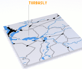 3d view of Turbasly