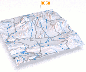 3d view of Nesā\