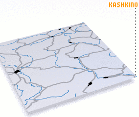 3d view of Kashkino