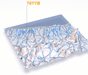 3d view of Ţayyib