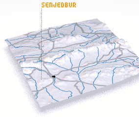 3d view of Senjed Būr