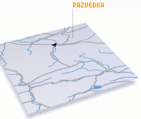3d view of Razvedka