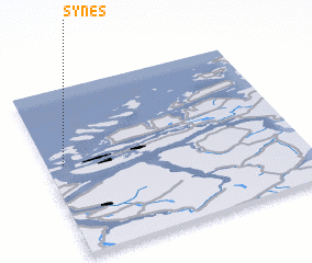 3d view of Synes