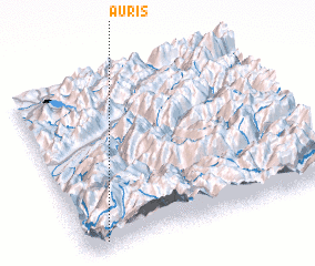 3d view of Auris