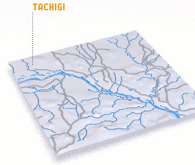 3d view of Tachigi