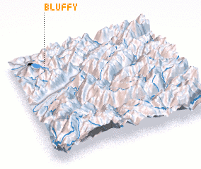 3d view of Bluffy