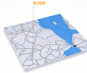 3d view of Oligie