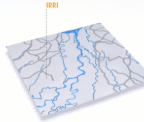 3d view of Irri