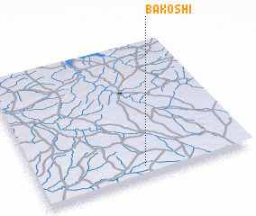 3d view of Bakoshi