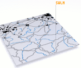 3d view of Salm