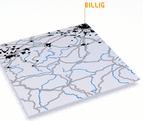 3d view of Billig