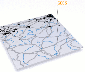 3d view of Gees