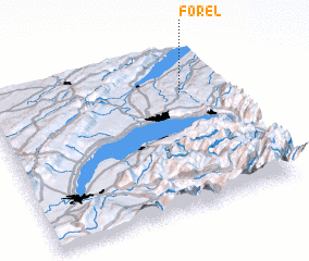 3d view of Forel