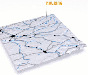 3d view of Molring