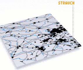 3d view of Strauch