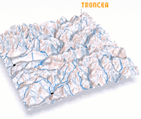 3d view of Troncea