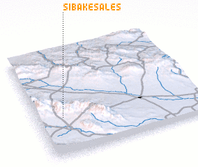 3d view of Sībak-e S̄āles̄