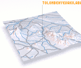 3d view of Tolombeh-ye Vakīlābād