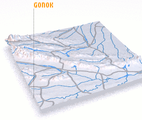 3d view of Gonok