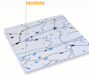 3d view of Pashnino