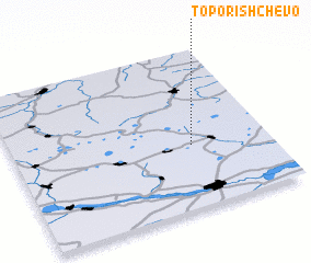 3d view of Toporishchevo