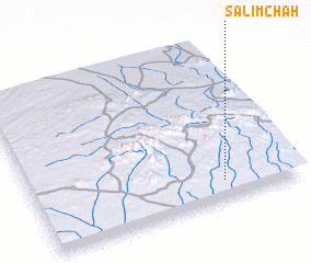 3d view of Salīm Chāh