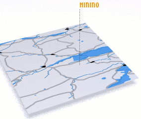 3d view of Minino