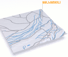 3d view of Wali Jān Kili