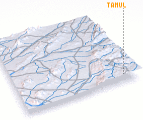 3d view of Tāmul