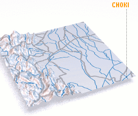 3d view of Choki