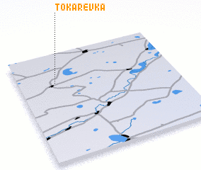 3d view of Tokarevka