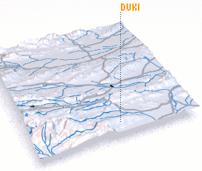 3d view of Duki