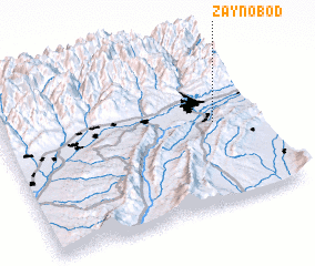 3d view of Zaynobod