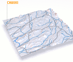 3d view of Chauki