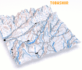 3d view of Tobashor