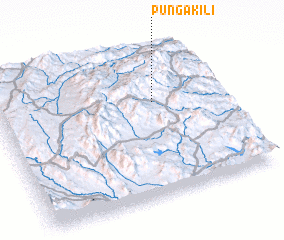 3d view of Punga Kili