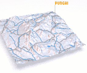 3d view of Pungai