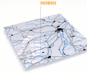 3d view of Neubois