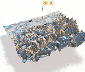 3d view of Riedli