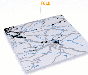 3d view of Feld