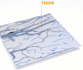 3d view of Torvik