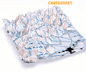 3d view of Chardonney
