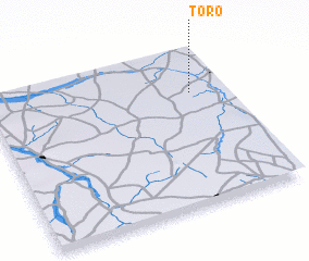 3d view of Toro