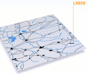 3d view of Loose