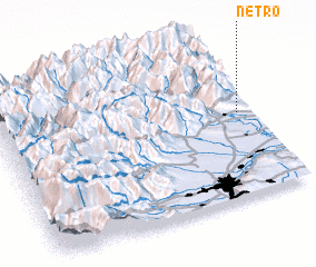 3d view of Netro