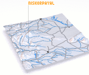 3d view of Niskorpayal